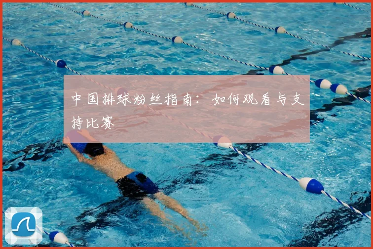 中国排球粉丝指南:如何观看与支持比赛