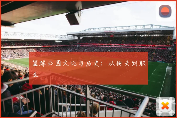 篮球公园文化与历史:从街头到职业