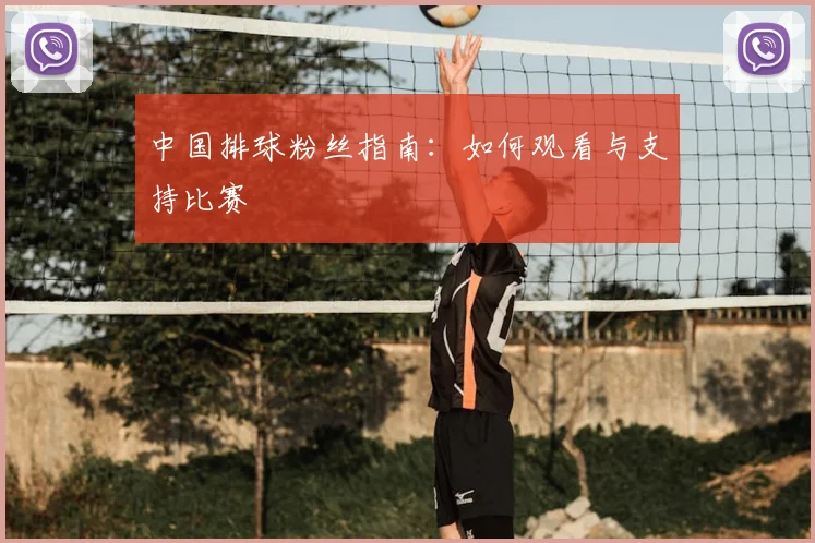 中国排球粉丝指南:如何观看与支持比赛